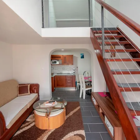 Maslinov Gaj Apartment *
