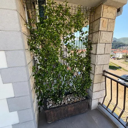 Apartment Maslinov Gaj *